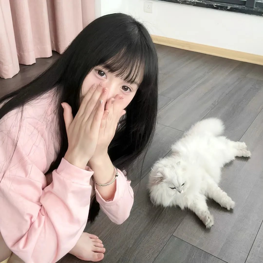 警察锅哥第一季